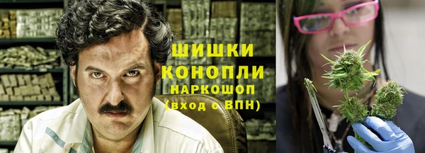 гидра Белоозёрский