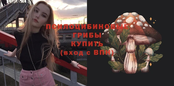 бутират Белокуриха