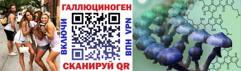 Псилоцибиновые грибы мухоморы  кракен вход  Юрьевец  купить  цена 