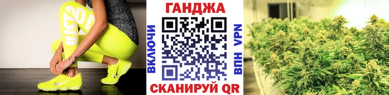 Конопля сатива  Юрьевец 